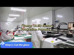 Fabbrica Genyu OLED