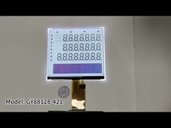 Segmento COG Modulo LCD FSTN 24 pin FPC Display LCD da 5,5 pollici per scala elettronica
