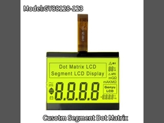Display LCD COG personalizzato Dot Matrix Display a cristalli liquidi FSTN Trasflesso