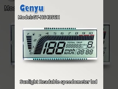 Display LCD su misura HTN Segment Screen 46PIN Leggibile dalla luce solare
