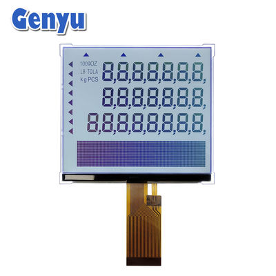 Un buon prezzo. Segmento COG Modulo LCD FSTN 24 pin FPC Display LCD da 5,5 pollici per scala elettronica in linea
