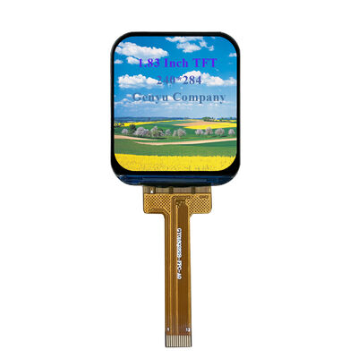 Un buon prezzo. Display TFT LCD Genyu da 1,83 pollici con risoluzione 240x284 e interfaccia SPI per alta chiarezza in linea